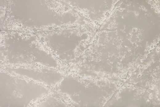 Столешница остров кварц коллекция Etna Quartz